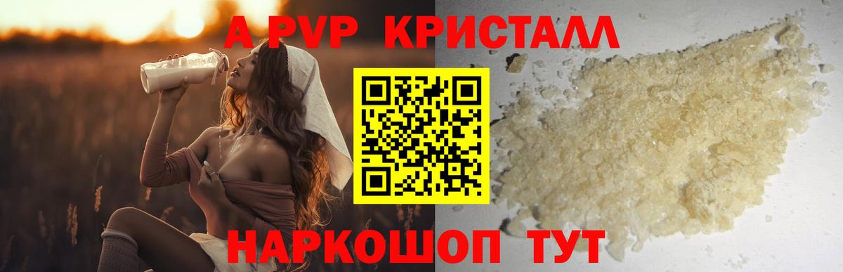 Alpha PVP СК КРИС Губкин
