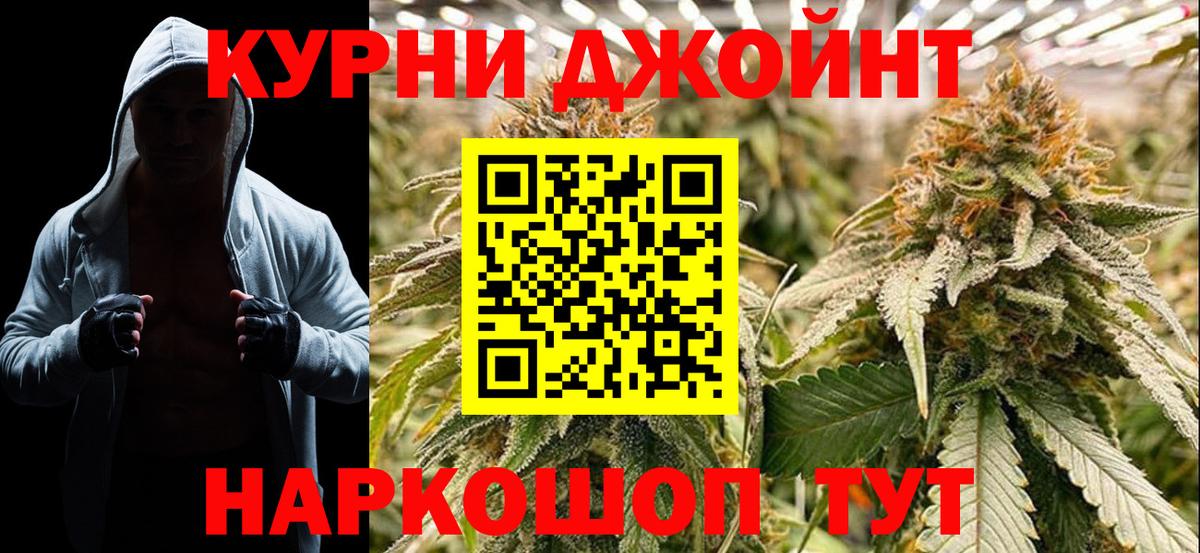 Каннабис сатива Губкин